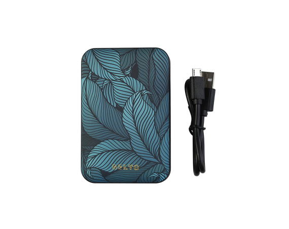 Powerbank Belyo 10000mAh 2 ports USB A Jungle Wondee