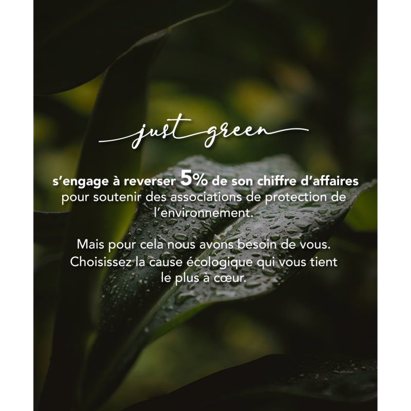 Protège écran Plat iPhone 12 / 12 Pro Eco-conçu avec kit de pose Just Green